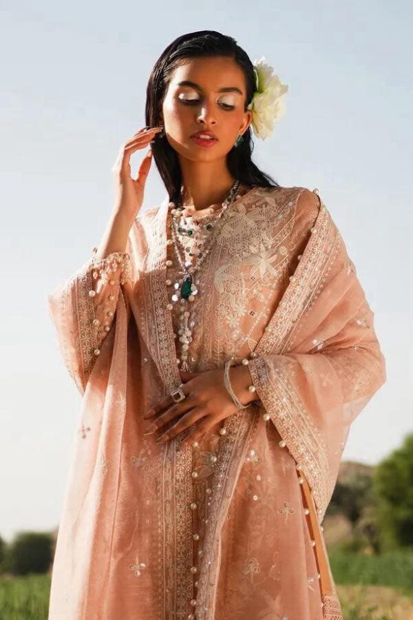 Pakistani Luxury Unstitched Lawn