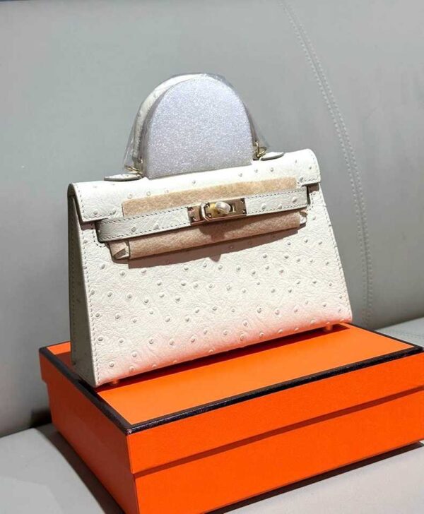 Luxury Brand Hermes Ladie's Bag