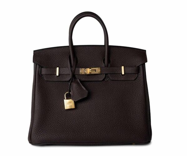 Luxury Brand Hermes Ladie's Bag