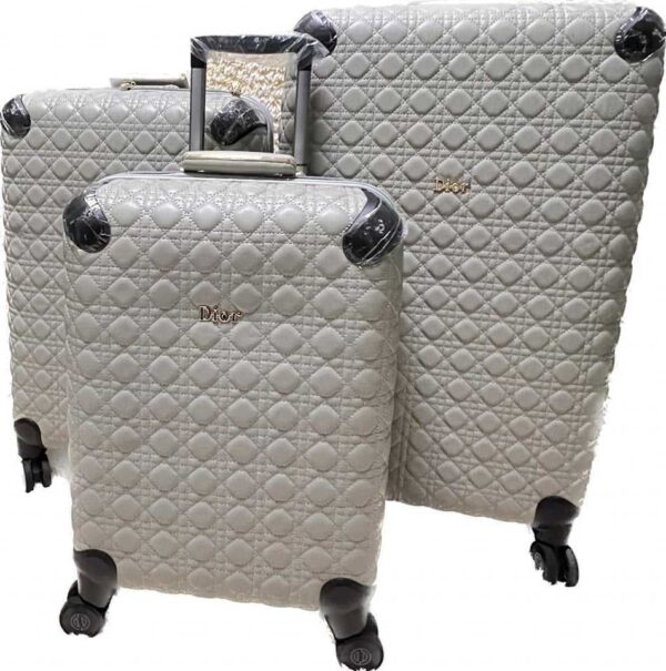 Luxury branded Tour & Suitcases Luggage