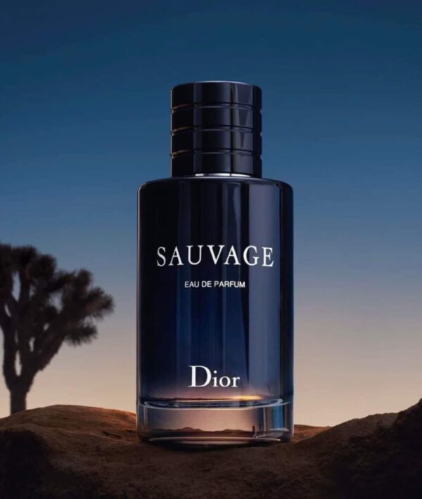 Branded “Sauvage” notes for men